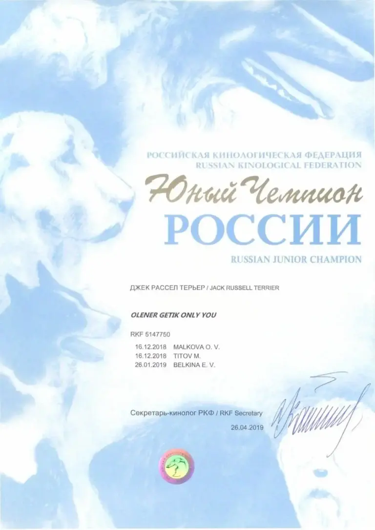 img6 (2) — диплом