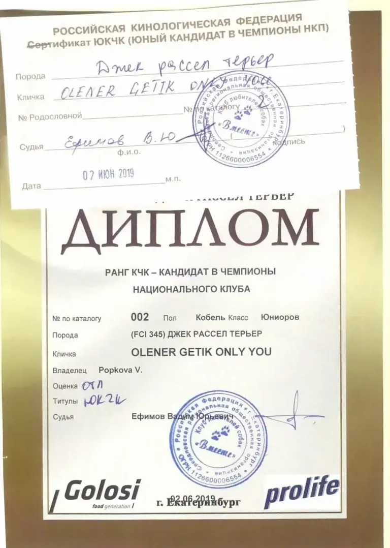 img6 (4) — диплом